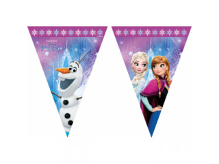 Frost vimpel banner 2,3 meter - Wind Spirit